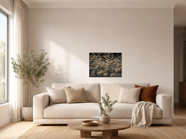 Kopretiny se zlatými středy – Jednodílný obraz, 40 × 30 cm