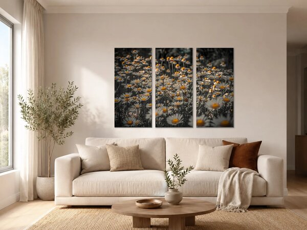 Kopretiny se zlatými středy – Třídílný obraz A, 90 × 60 cm