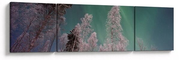 Obraz polární záře nad zmrzlými stromy (170x50 cm)