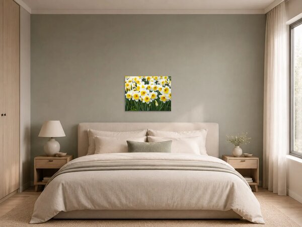 Bílé narcisy ve slunečním svitu – Jednodílný obraz, 60 × 40 cm
