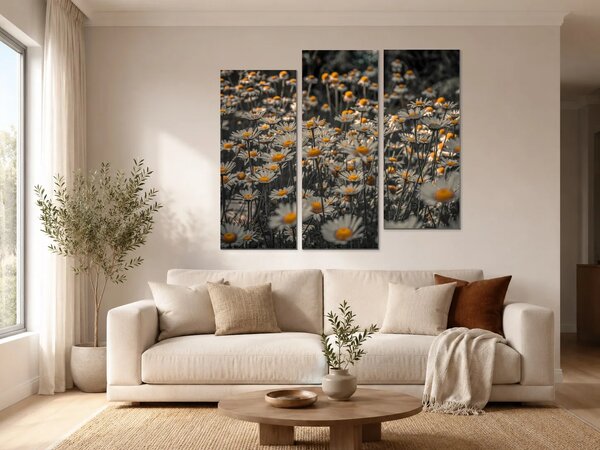 Kopretiny se zlatými středy – Třídílný obraz C, 120 × 100 cm