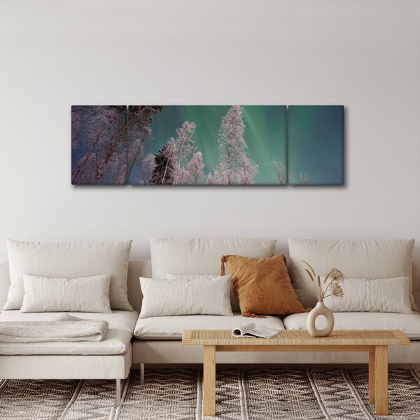 Obraz polární záře nad zmrzlými stromy (170x50 cm)