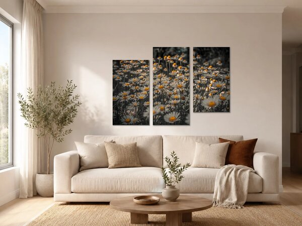 Kopretiny se zlatými středy – Třídílný obraz C, 90 × 60 cm