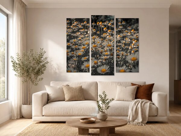 Kopretiny se zlatými středy – Třídílný obraz B, 120 × 80 cm