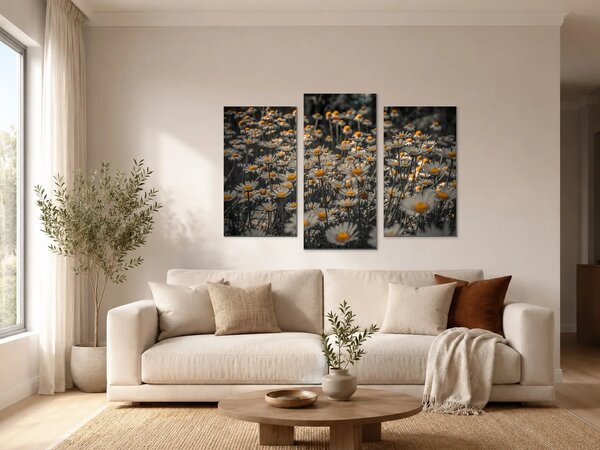 Kopretiny se zlatými středy – Třídílný obraz B, 90 × 60 cm