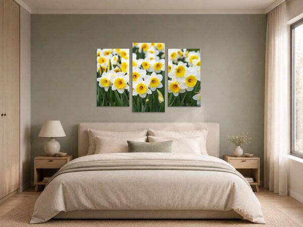 Bílé narcisy ve slunečním svitu – Třídílný obraz B, 90 × 60 cm