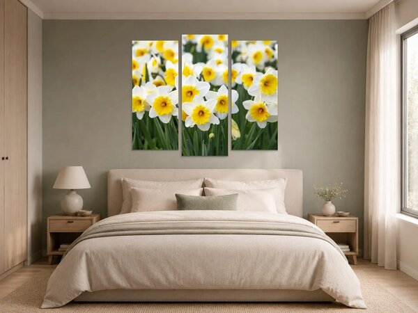 Bílé narcisy ve slunečním svitu – Třídílný obraz B, 150 × 100 cm
