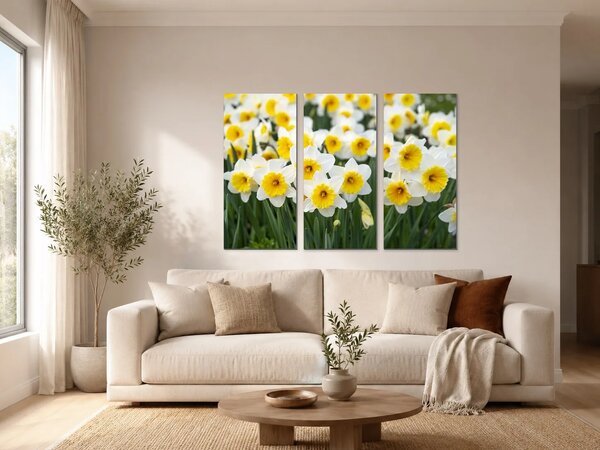 Bílé narcisy ve slunečním svitu – Třídílný obraz A, 90 × 60 cm
