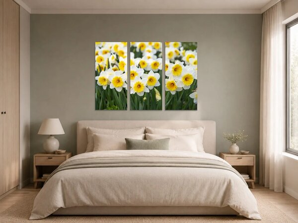 Bílé narcisy ve slunečním svitu – Třídílný obraz A, 90 × 60 cm