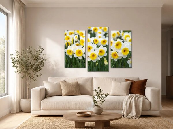 Bílé narcisy ve slunečním svitu – Třídílný obraz B, 90 × 60 cm
