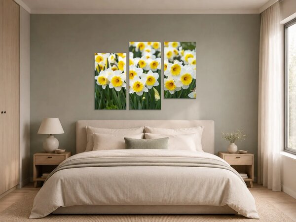 Bílé narcisy ve slunečním svitu – Třídílný obraz C, 90 × 60 cm