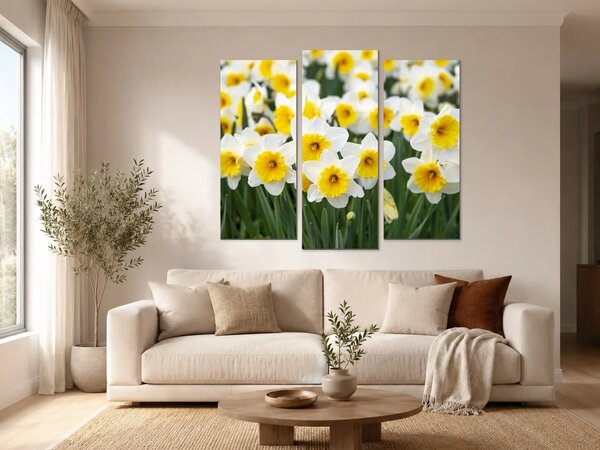 Bílé narcisy ve slunečním svitu – Třídílný obraz B, 150 × 100 cm