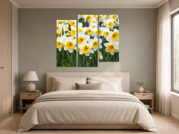 Bílé narcisy ve slunečním svitu – Třídílný obraz C, 120 × 100 cm