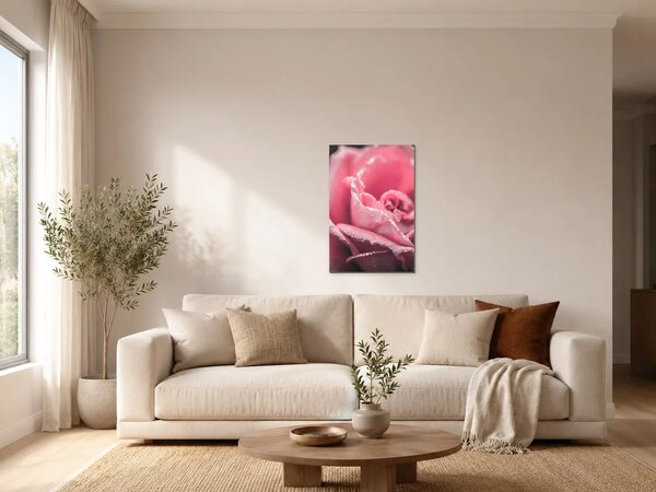 Růžová růže v ranní rose – Jednodílný obraz, 40 × 60 cm