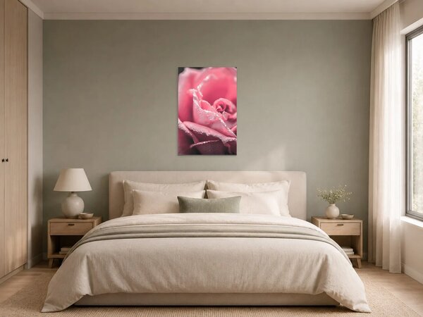 Růžová růže v ranní rose – Jednodílný obraz, 40 × 60 cm