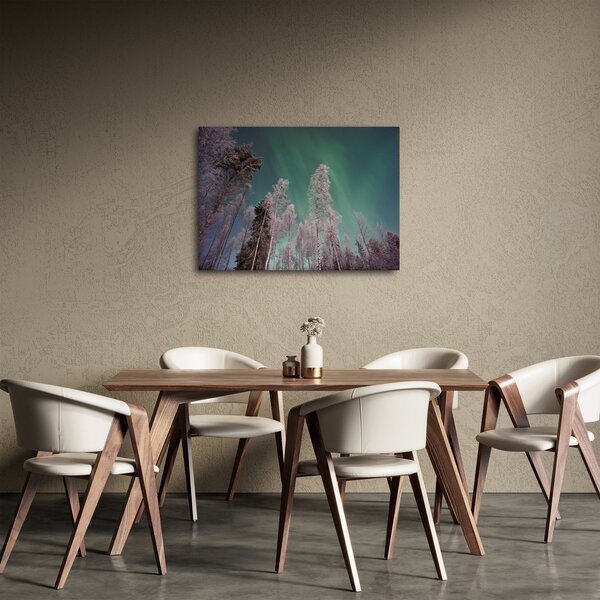 Obraz polární záře nad zmrzlými stromy (70x50 cm)