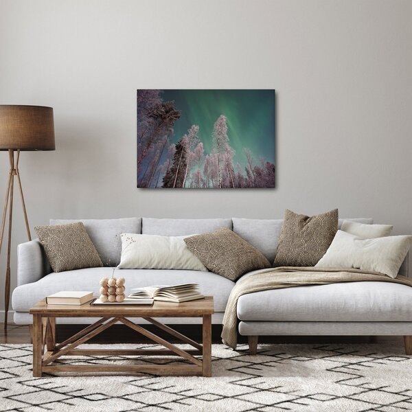 Obraz polární záře nad zmrzlými stromy (70x50 cm)