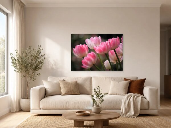 Růžové tulipány v jemném světle – Jednodílný obraz, 70 × 50 cm