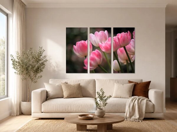 Růžové tulipány v jemném světle – Třídílný obraz A, 90 × 60 cm