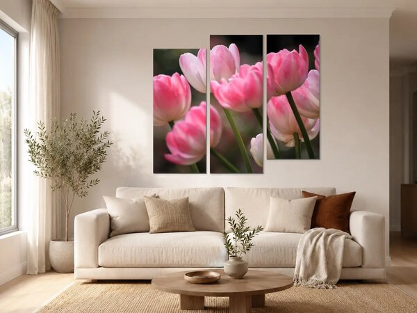 Růžové tulipány v jemném světle – Třídílný obraz C, 150 × 100 cm