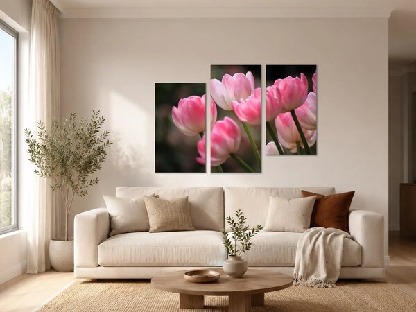 Růžové tulipány v jemném světle – Třídílný obraz C, 90 × 60 cm