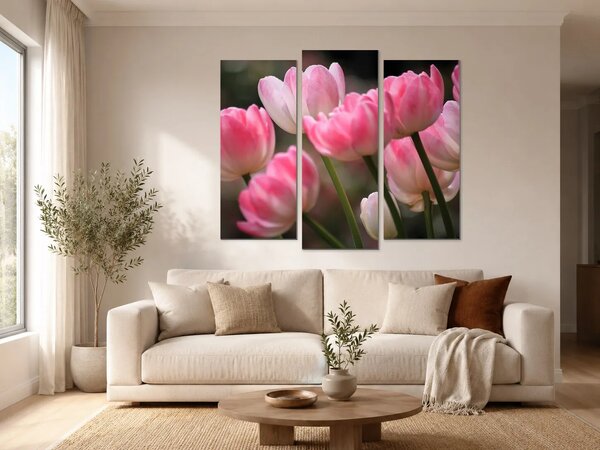 Růžové tulipány v jemném světle – Třídílný obraz B, 120 × 100 cm