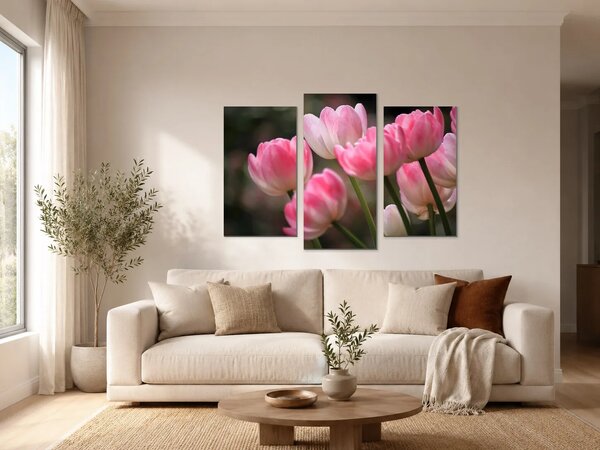 Růžové tulipány v jemném světle – Třídílný obraz B, 90 × 60 cm