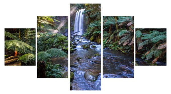 Obraz austraského deštného lesa (125x70 cm)
