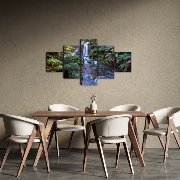 Obraz austraského deštného lesa (125x70 cm)
