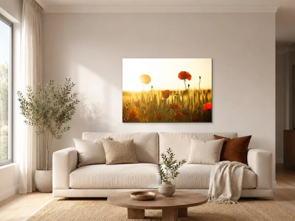 Vlčí máky v paprscích zapadajícího slunce – Jednodílný obraz, 70 × 50 cm