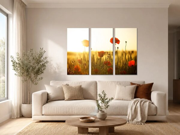 Vlčí máky v paprscích zapadajícího slunce – Třídílný obraz A, 90 × 60 cm