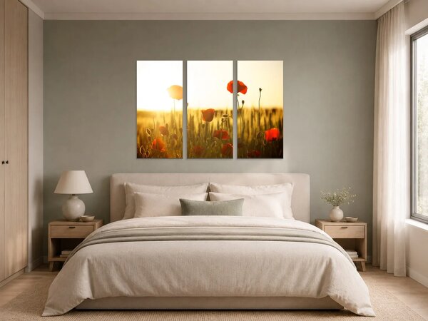 Vlčí máky v paprscích zapadajícího slunce – Třídílný obraz A, 90 × 60 cm