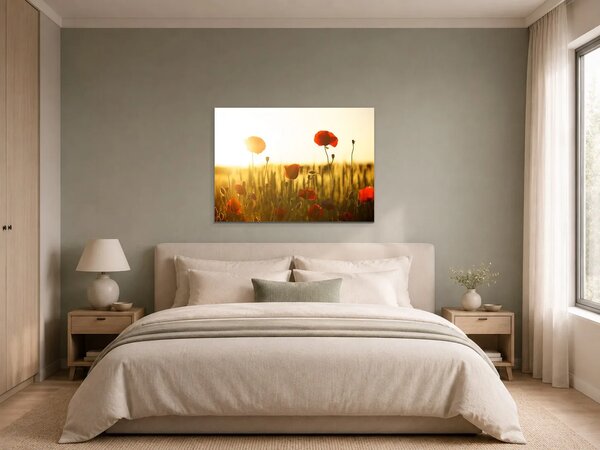 Vlčí máky v paprscích zapadajícího slunce – Jednodílný obraz, 70 × 50 cm