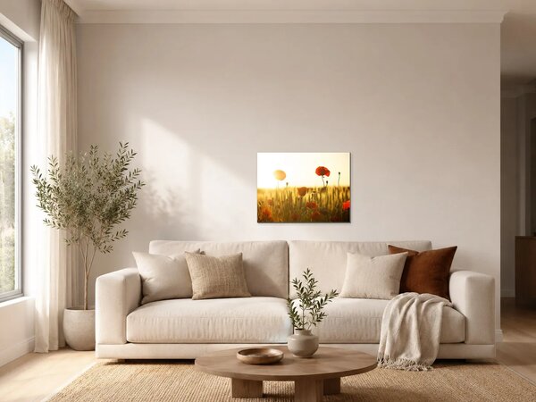 Vlčí máky v paprscích zapadajícího slunce – Jednodílný obraz, 40 × 30 cm