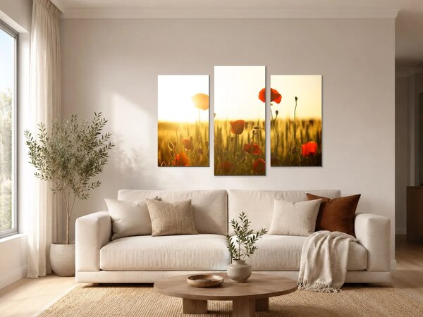 Vlčí máky v paprscích zapadajícího slunce – Třídílný obraz B, 90 × 60 cm