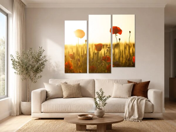 Vlčí máky v paprscích zapadajícího slunce – Třídílný obraz C, 120 × 100 cm