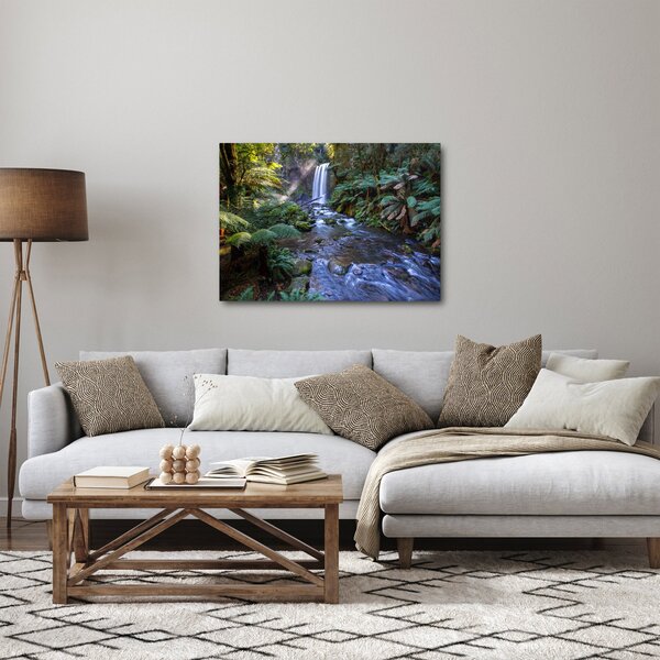 Obraz austraského deštného lesa (70x50 cm)