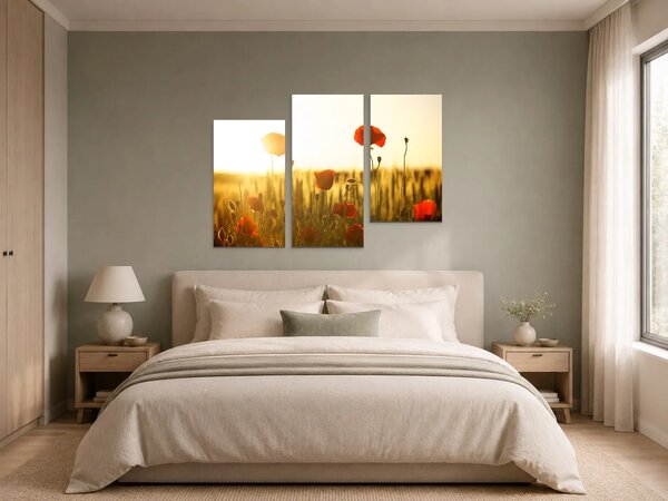 Vlčí máky v paprscích zapadajícího slunce – Třídílný obraz C, 90 × 60 cm