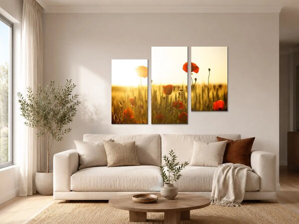 Vlčí máky v paprscích zapadajícího slunce – Třídílný obraz C, 90 × 60 cm