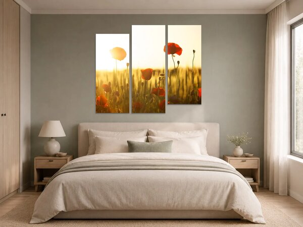 Vlčí máky v paprscích zapadajícího slunce – Třídílný obraz C, 120 × 100 cm