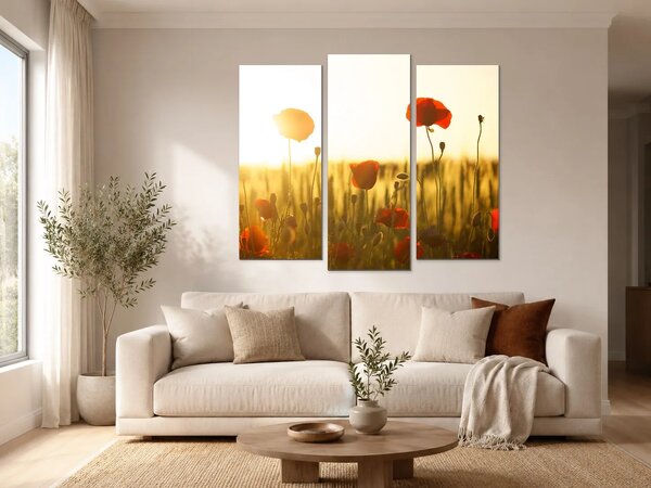 Vlčí máky v paprscích zapadajícího slunce – Třídílný obraz B, 120 × 100 cm