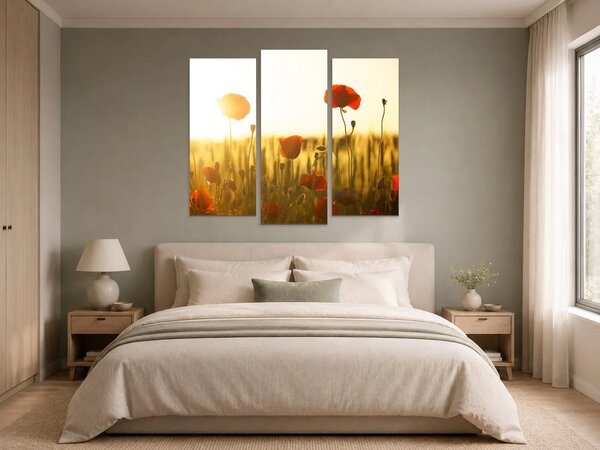 Vlčí máky v paprscích zapadajícího slunce – Třídílný obraz B, 120 × 100 cm