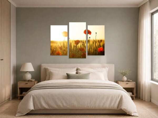 Vlčí máky v paprscích zapadajícího slunce – Třídílný obraz B, 90 × 60 cm