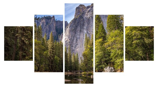 Obraz - Pod Yosemite skálou (125x70 cm)