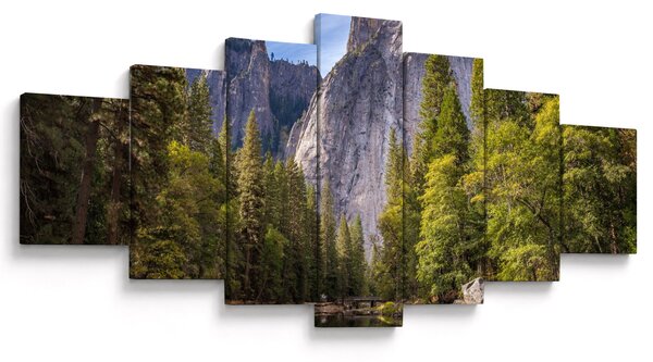 Obraz - Pod Yosemite skálou (210x100 cm)