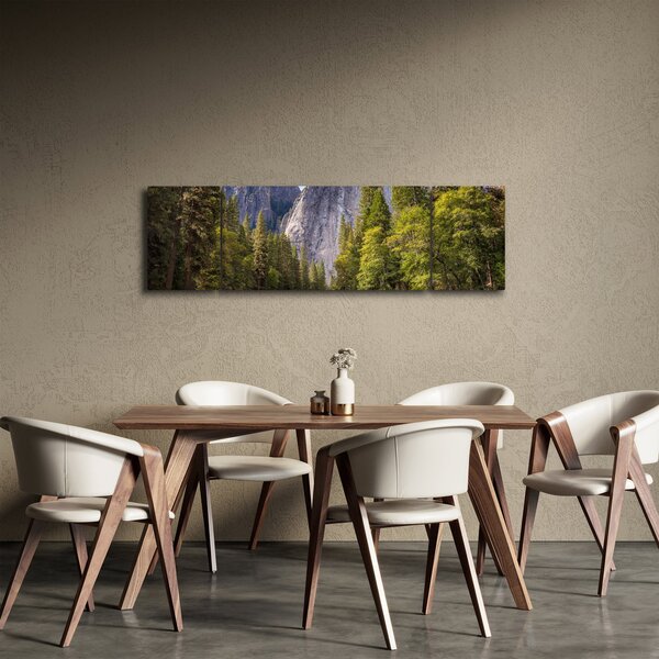 Obraz - Pod Yosemite skálou (170x50 cm)