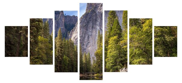 Obraz - Pod Yosemite skálou (210x100 cm)