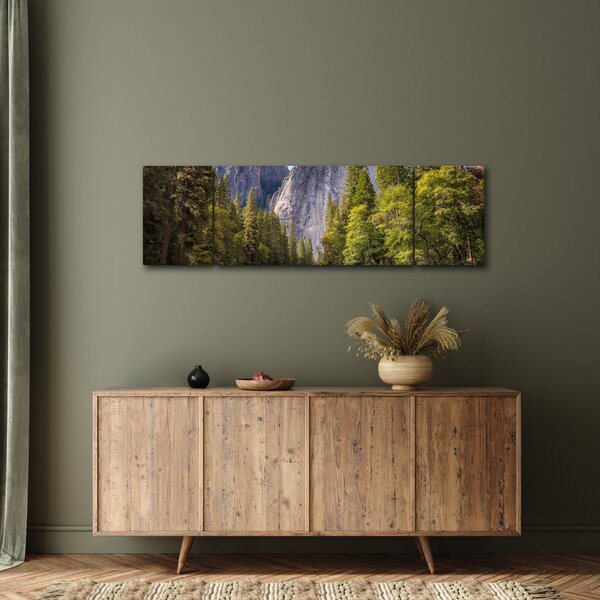Obraz - Pod Yosemite skálou (170x50 cm)