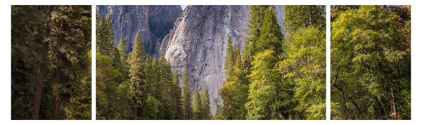 Obraz - Pod Yosemite skálou (170x50 cm)
