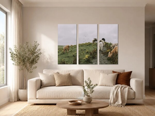 Skot na horské pastvině – Třídílný obraz A, 90 × 60 cm